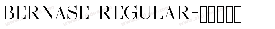 Bernase Regular字体转换